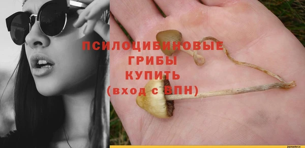 амф Алексин