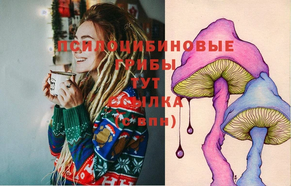spice Алзамай