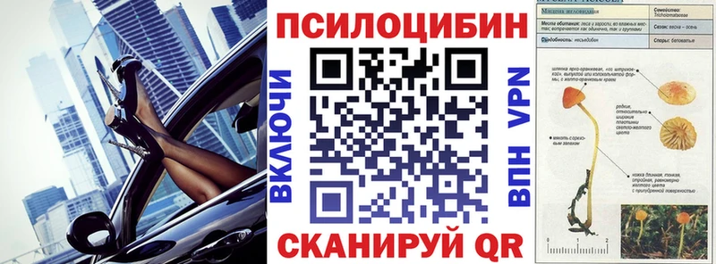 Псилоцибиновые грибы GOLDEN TEACHER  кракен ТОР  Сибай  купить наркотик 